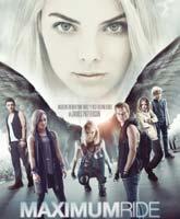 Maximum Ride /  